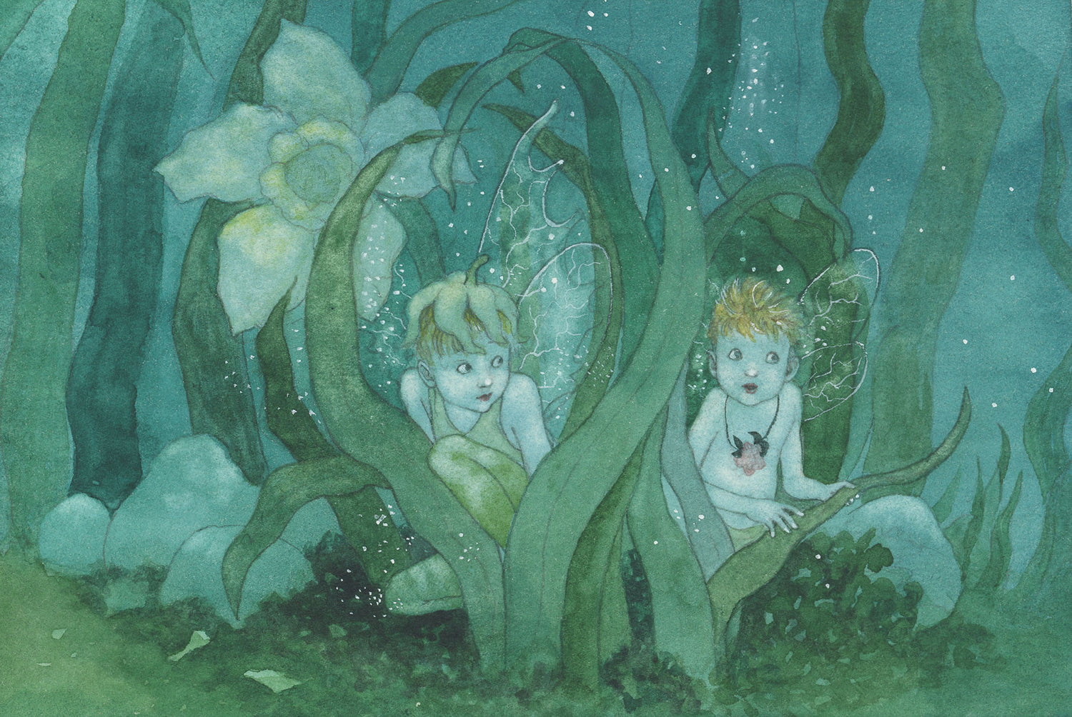 Two fairies among green leaves and flowers in a forest setting